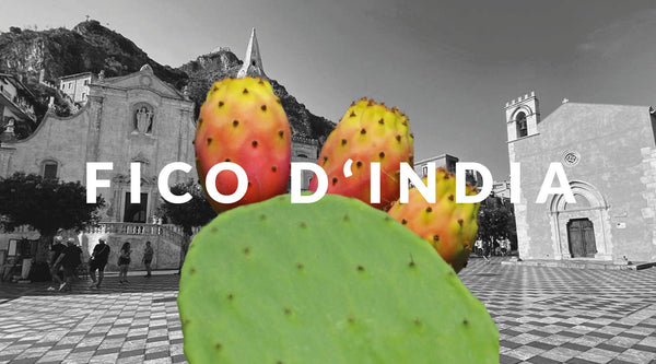 Die indische Kaktusfeige will erobert werden! - STUDIO SICILY